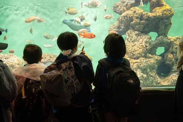 水族館での学び
