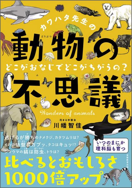 カワハタ先生の動物の不思議 どこがおなじでどこがちがうの 新着情報一覧 花まる学習会