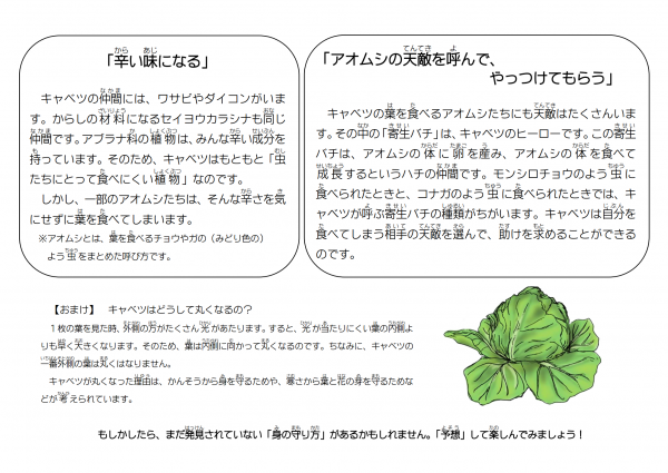 かわはた先生の 理科のおもしろい世界へようこそ 花まる学習会 かわはた先生の 理科のおもしろい世界へようこそ 花まる学習会