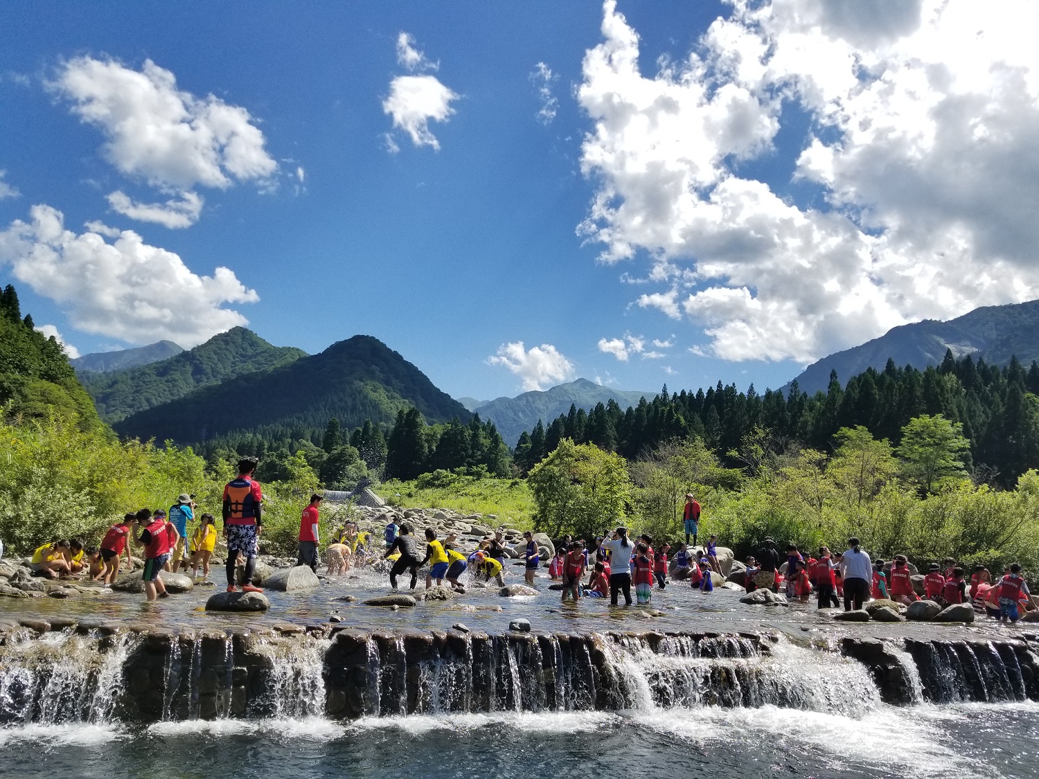 夏だ サマーだ 花まるだ 日本の家族まるごと 花まるサマースクール Live中継 家族の夏のために 花まる学習会