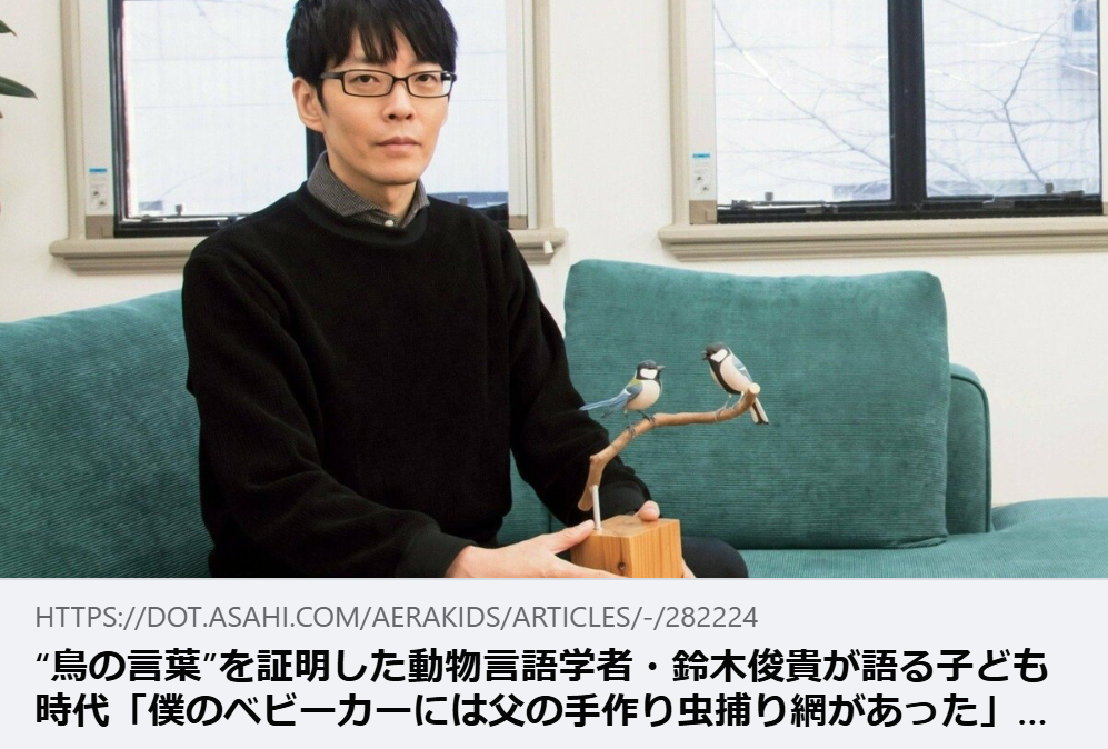 【掲載情報】“鳥の言葉”を証明した動物言語学者・鈴木俊貴が語る子ども時代「僕のベビーカーには父の手作り虫捕り網があった」｜AERA with Kids ＋