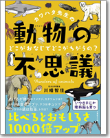 カワハタ先生の動物の不思議 どこがおなじでどこがちがうの？